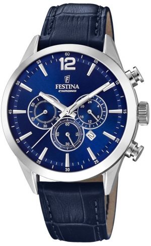 Pánske hodinky FESTINA 20542/2