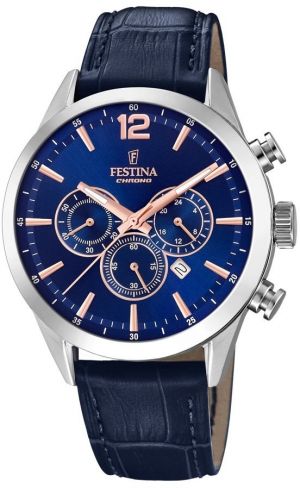 Pánske hodinky FESTINA 20542/4