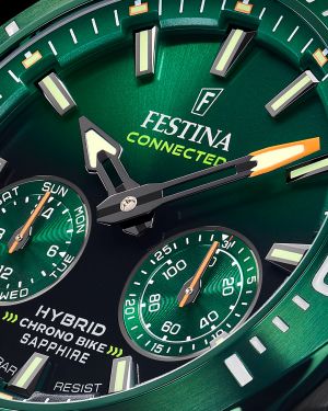 FESTINA 20646/1