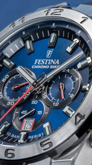 FESTINA 20671/1